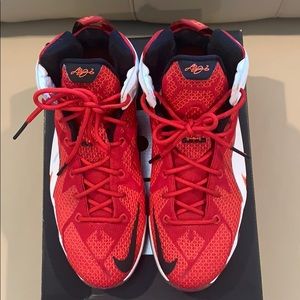 Nike Lebron XII (GS) The Twelve